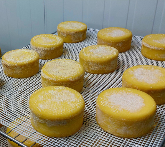 galeria-inicio-queixo-02