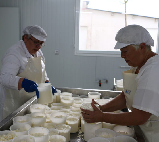 galeria-inicio-queixo-04