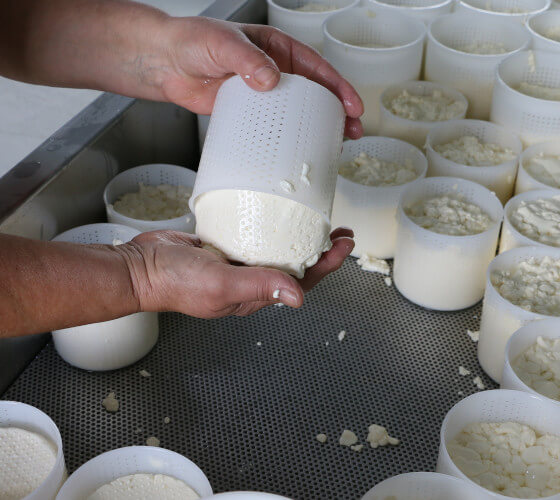 galeria-inicio-queixo-05